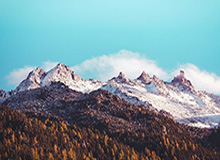 百家乐官方网站：开启可信赖的线上百家乐新体验